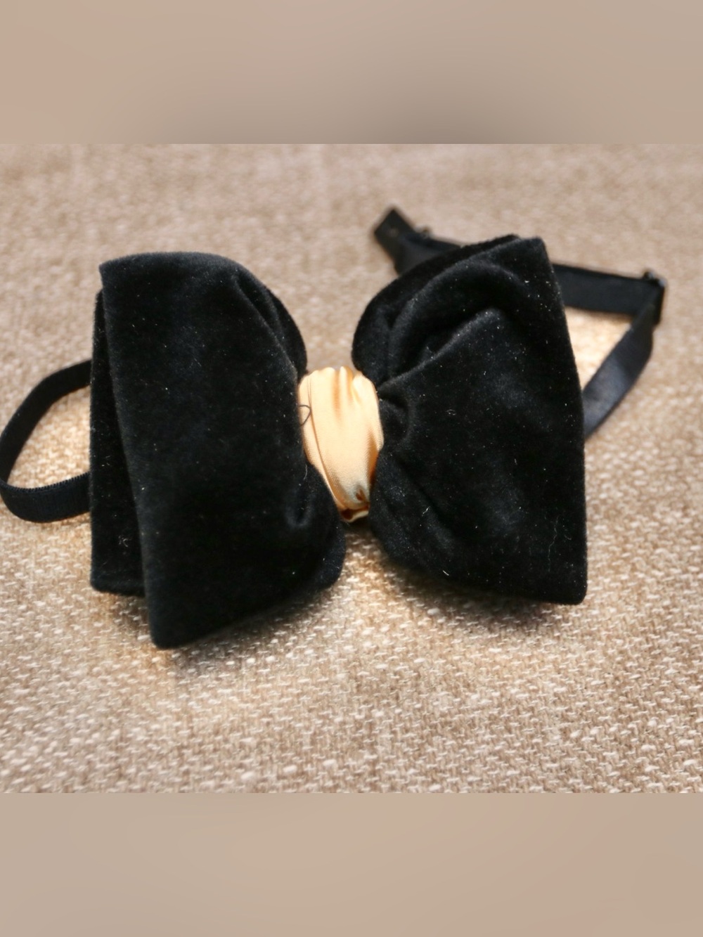 Black Velvet Bowtie with Gold satin accent